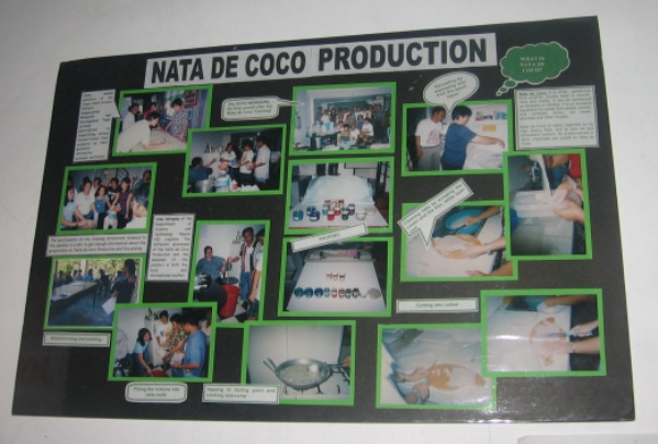 Nata poster